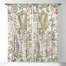 Adolphe Millot - Plantes Medicinales B - French vintage poster Sheer Curtain