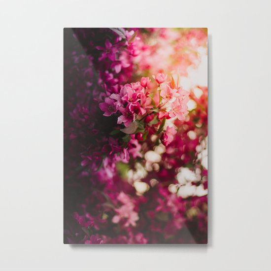 Beauty of Spring II Metal Print