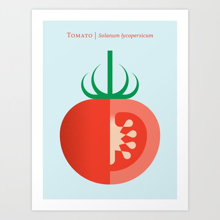 Vegetable: Tomato Art Print