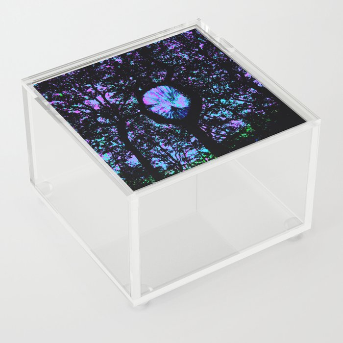 Interconnected Acrylic Box