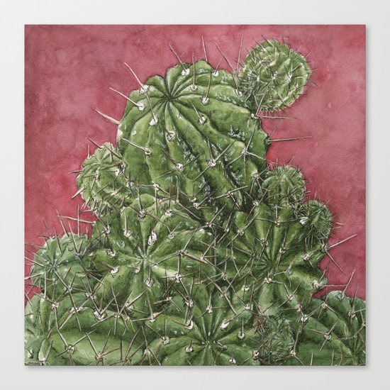 cactus Canvas Print