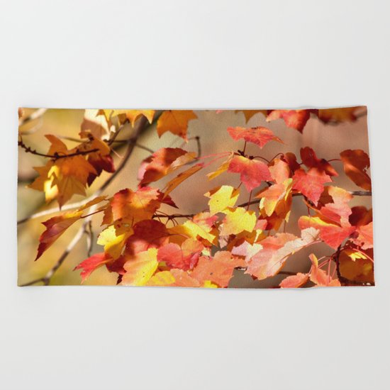 Fall Day Beach Towel