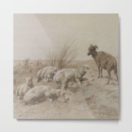 Rosa Bonheur, Sheep, Mouton Metal Print