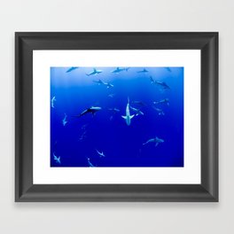 Sharks! Framed Art Print