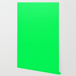 Monochrom green 0-255-85 Wallpaper