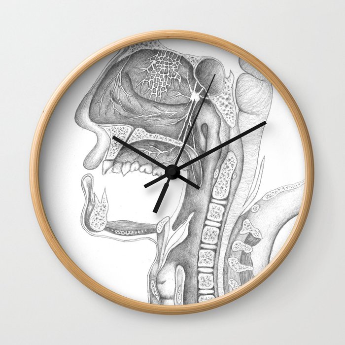 Face Cross-section - Pencil Wall Clock