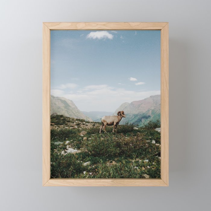 Bighorn Overlook Framed Mini Art Print