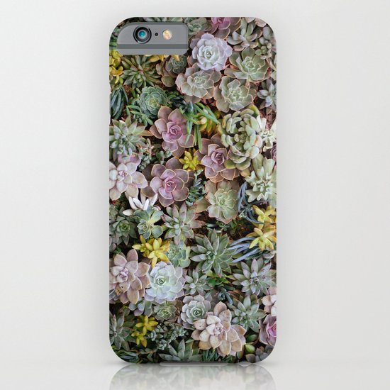 Succulents iPhone & iPod Case