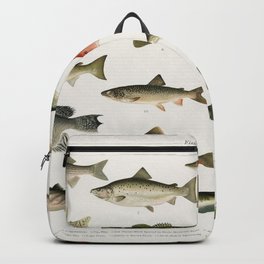 Illustrated Denton Fish Chart of Fishes of North America Backpack