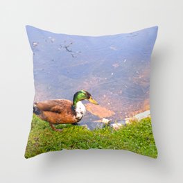 Duck Going for a Swim Throw Pillow