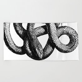 Snake | Snakes | Snake ball | Serpent | Slither | Reptile Beach Towel