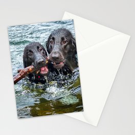 Double Fetch Stationery Cards