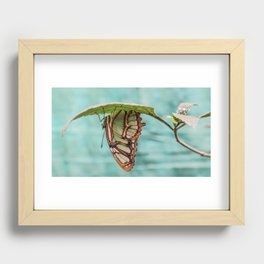 Upside Down Butterfly Recessed Framed Print