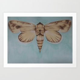 Maguey Moth Art Print
