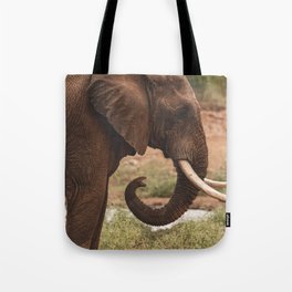 Thoughtful Bull Elephant Tote Bag