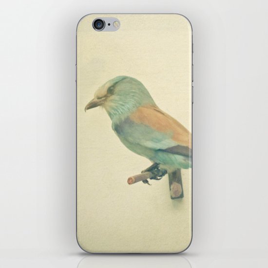 Bird Study #2 iPhone & iPod Skin