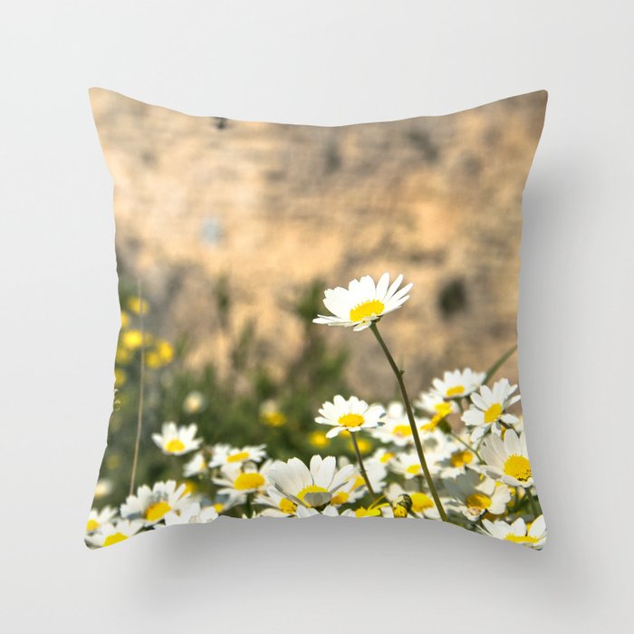 Spring Camomile Throw Pillow