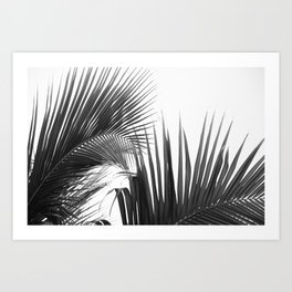 Lush Caribbean Palms #10 #tropical #palms #wall #art #society6 Art Print