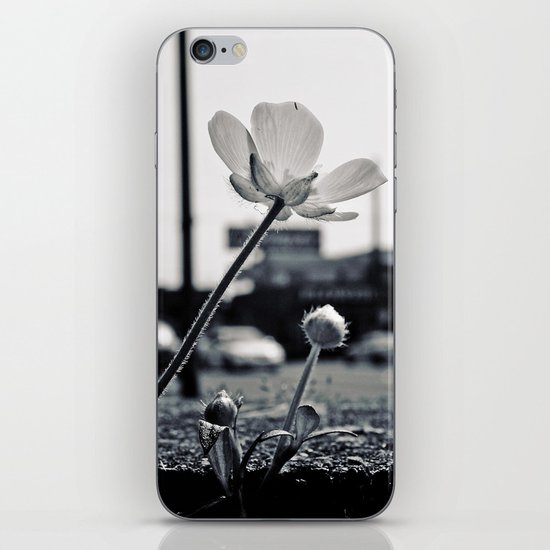 Roadside beauty iPhone Skin