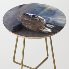 South Africa Photography - Beautiful Tortoise Side Table