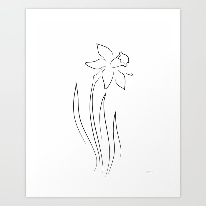 Daffodil Drawing Tattoo