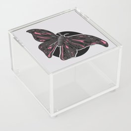 Night Moth Acrylic Box