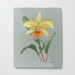 Yellow Orchid and Mantis Metal Print