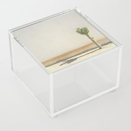Cactus - Taupe Acrylic Box