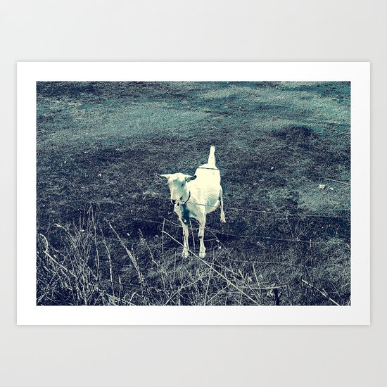 Independent Goat Art Print