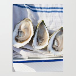 Oysters on Duxbury Bay Poster