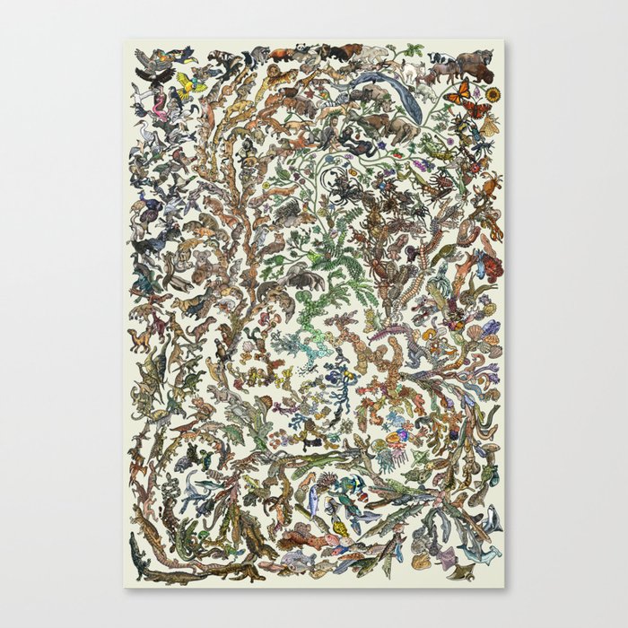 Evolution Poster - Tree of Life - Colour Canvas Print
