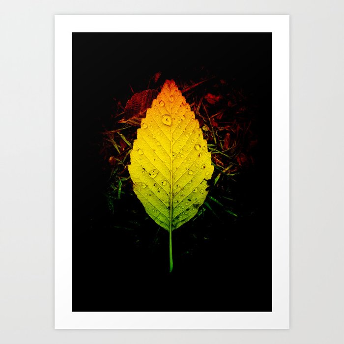 Art Print