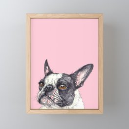 Frenchie Dog Drawing Framed Mini Art Print