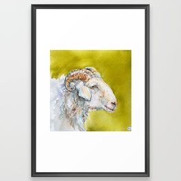 SHEEP ON GREEN  Framed Art Print