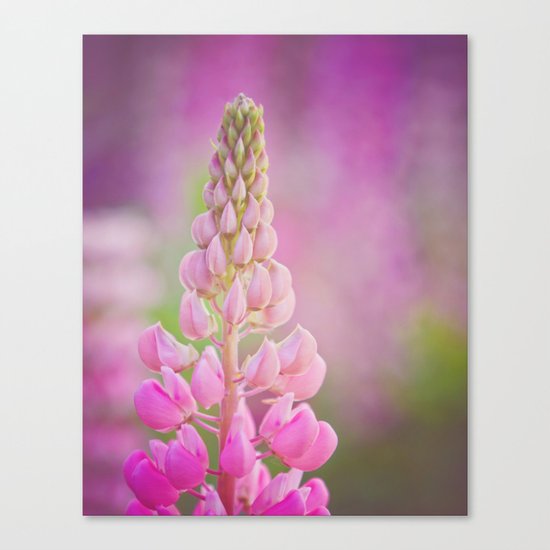 In the garden, my soul is sunshine Canvas Print