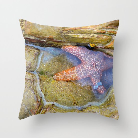 Tidepool Starfish Throw Pillow