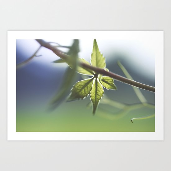 Five-Pointed Star Art Print