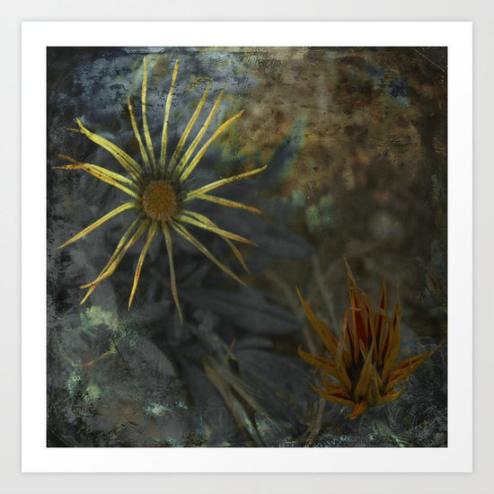 Abstract Flowers on my way - Flores abstractas en mi camino Art Print