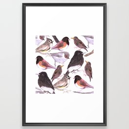 Wild birds watercolor- titmouse, bushtit, starling, phoebe, juncos Framed Art Print