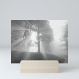 a light through in the trees in fog Mini Art Print
