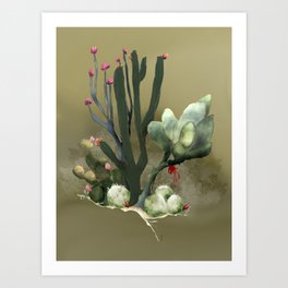 Sonoran Collection: No. 11 Art Print