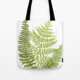 Fresh Fern II Modern Botanical  Tote Bag