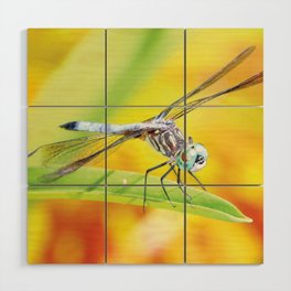 Dragonfly Dreams Wood Wall Art