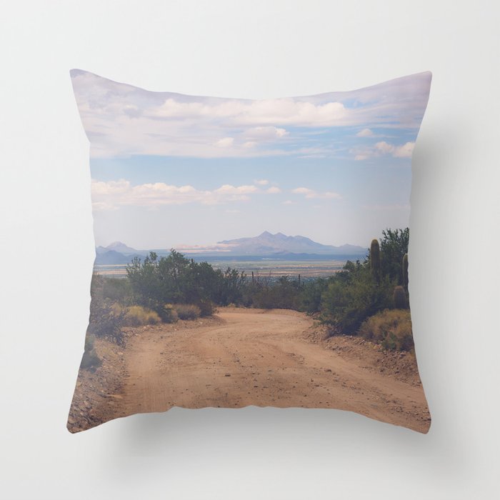 Down Desert Roads Throw Pillow