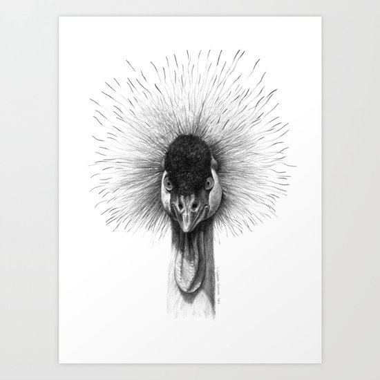 Black Crowned Crane G2012-065 Art Print