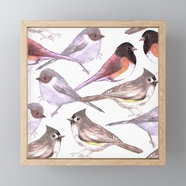 Wild birds in watercolor and pencil Framed Mini Art Print