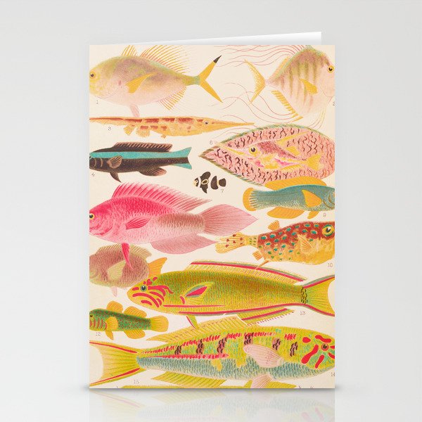 Colorful Tropical Fishes Vintage Sea Life Illustration Stationery Cards