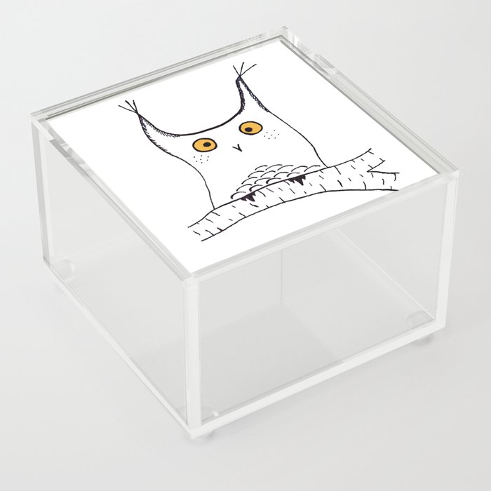 Squarish Owl Acrylic Box