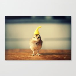 Chick Wearing A Pointy Yellow Hat Canvas Print
