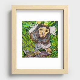 Common Marmoset Recessed Framed Print